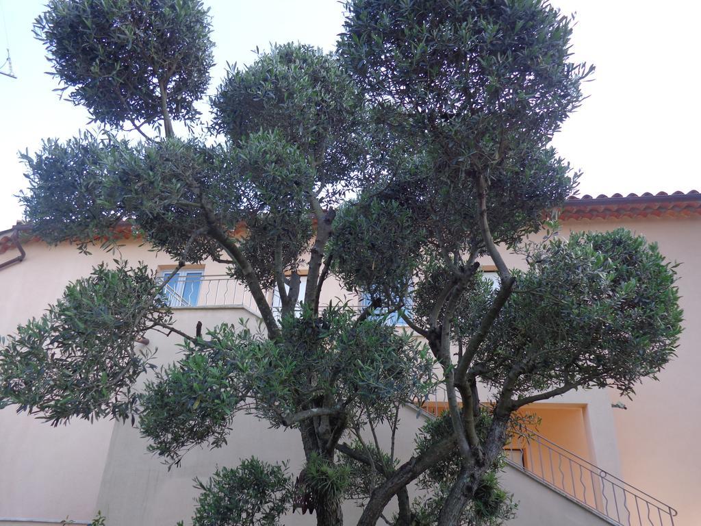 Appartement Villa Angelina Grimaud Bagian luar foto